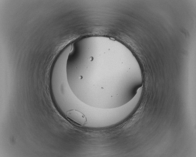 X0000113180673200910021544