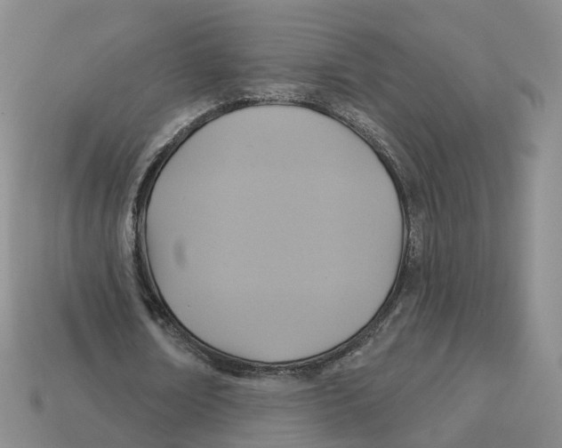 X0000113180674200910021544