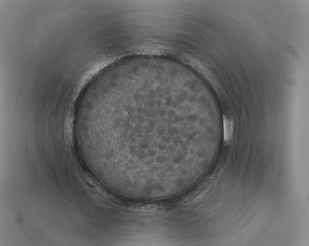 X0000113180675200910021544