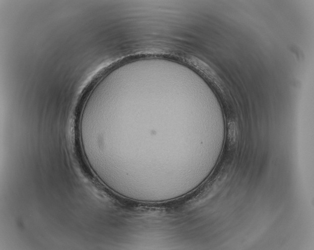 X0000113180676200910021544