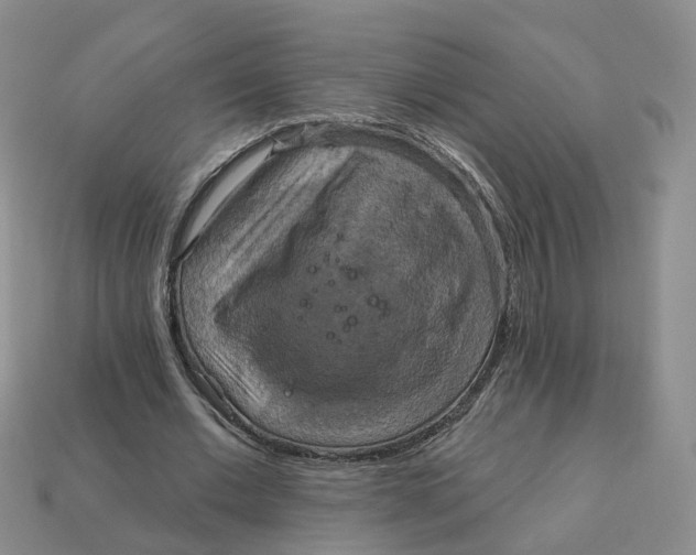 X0000113180677200910021543