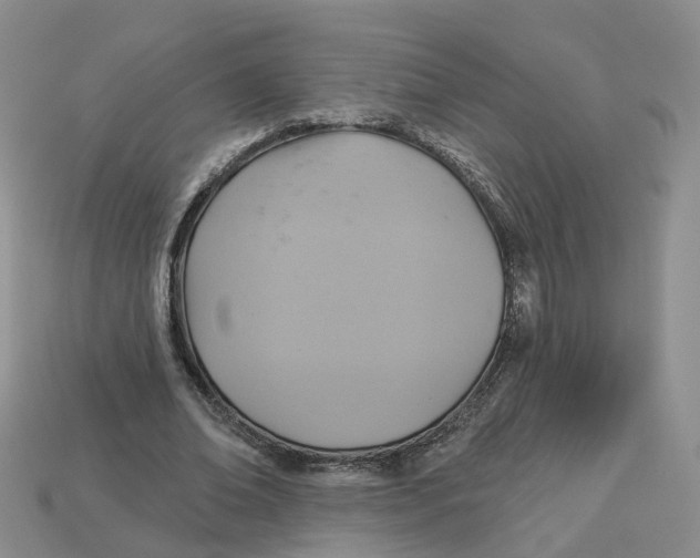 X0000113180678200910021543