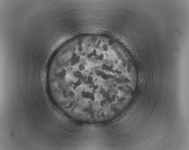 X0000113180679200910021543