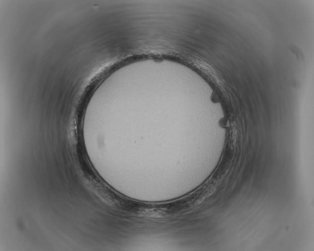 X0000113180680200910021543