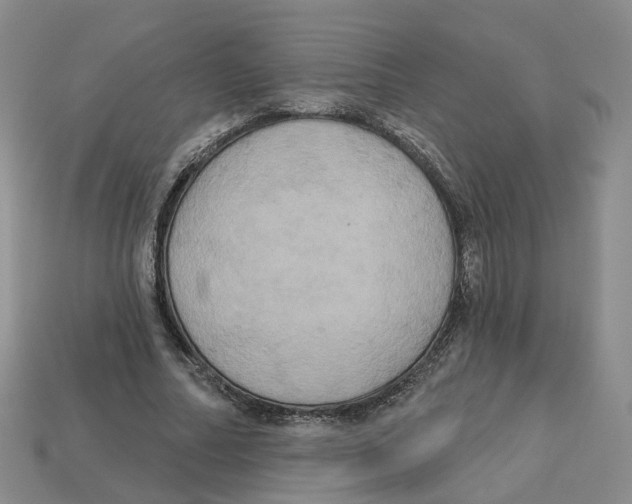 X0000113180682200910021543
