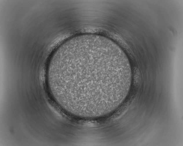 X0000113180683200910021543