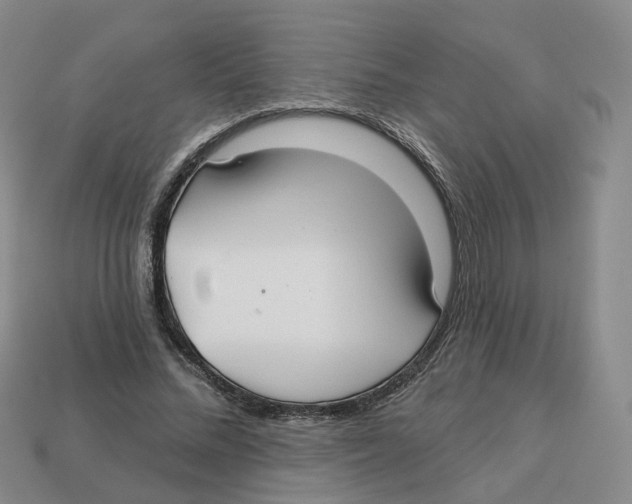 X0000113180684200910021543