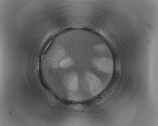 X0000113180685200910021543