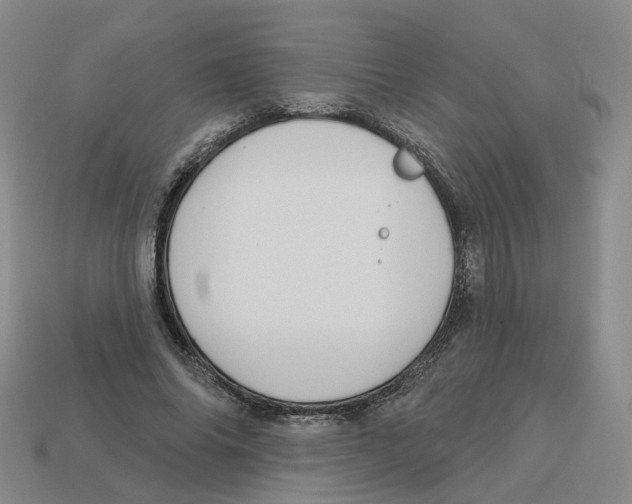 X0000113180686200910021543