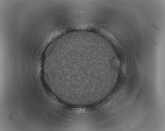 X0000113180687200910021543