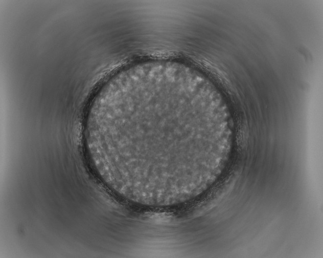 X0000113180689200910021543