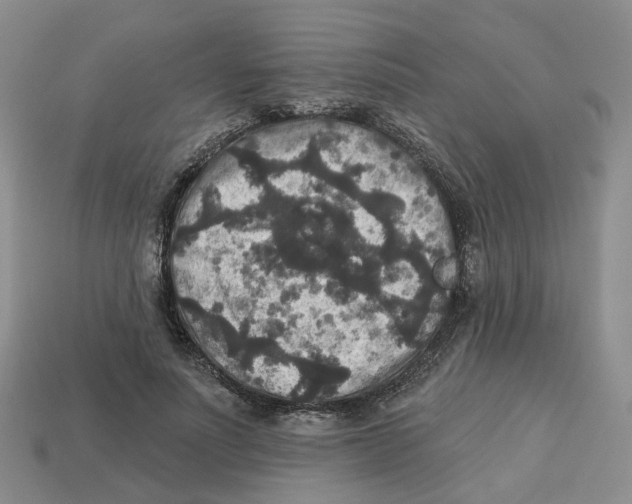 X0000113180691200910021543