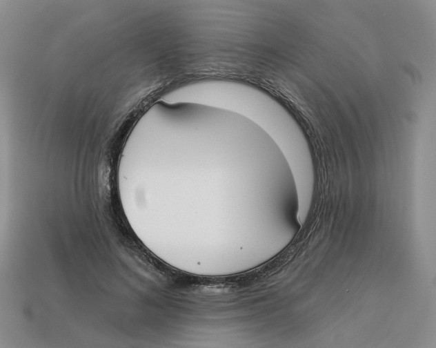 X0000113180692200910021543