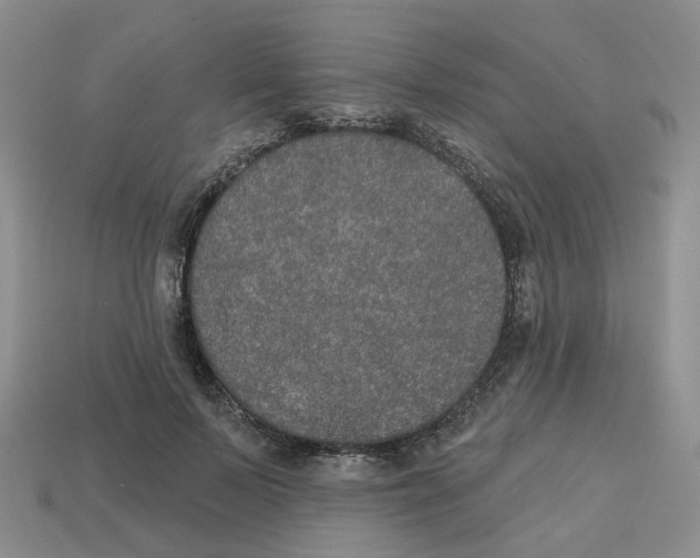 X0000113180695200910021543