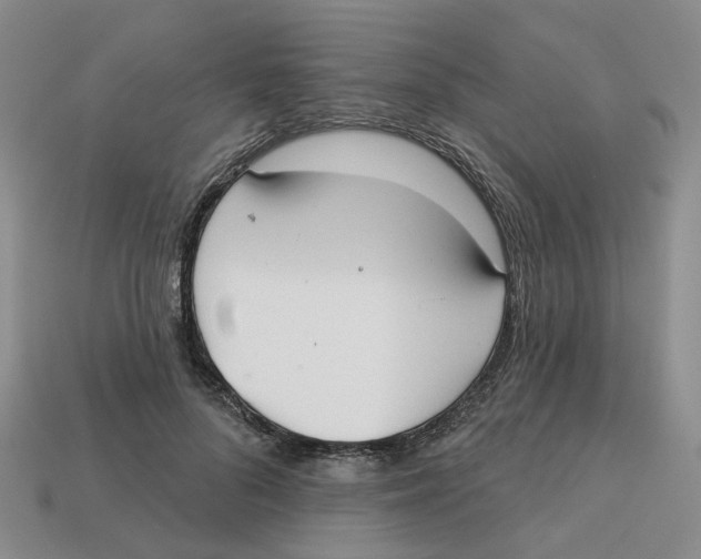 X0000113180696200910021543