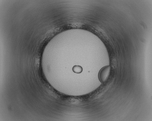 X0000113180697200910021543