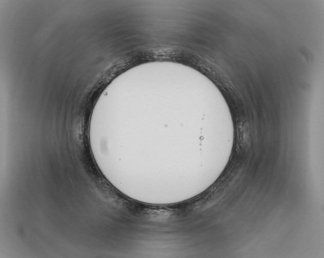 X0000113180698200910021543