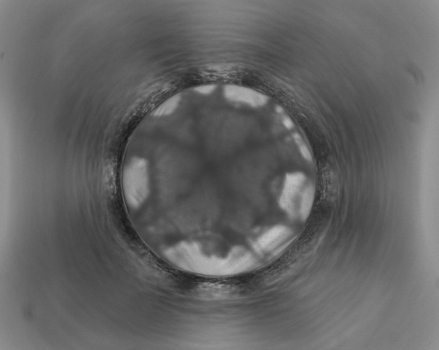 X0000113180699200910021543