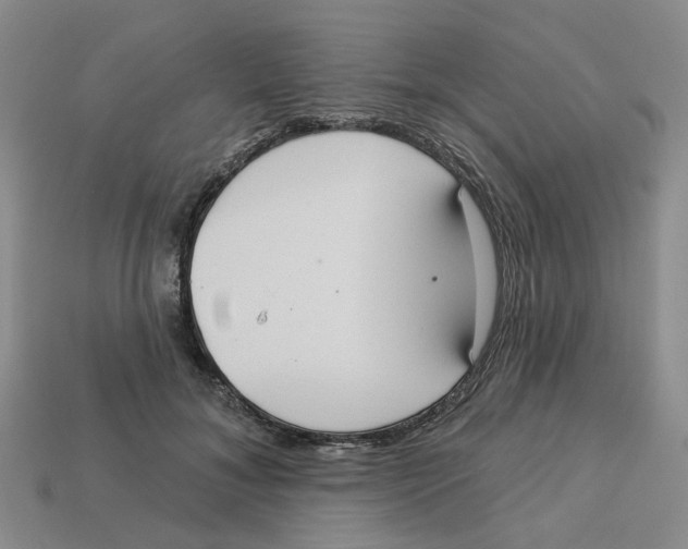 X0000113180700200910021543