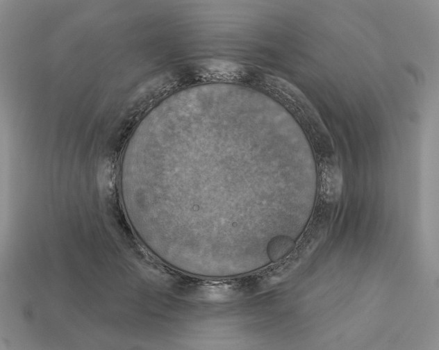 X0000113180701200910021543
