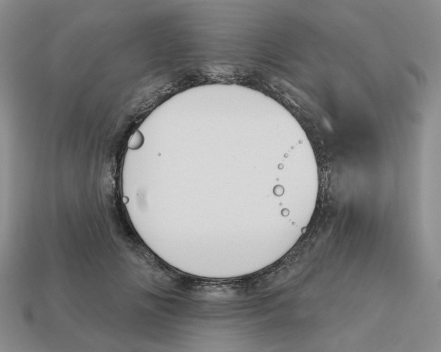 X0000113180702200910021543