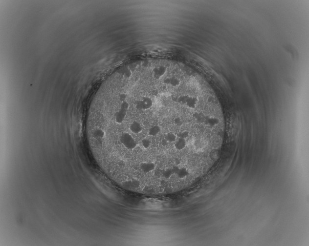 X0000113180703200910021543