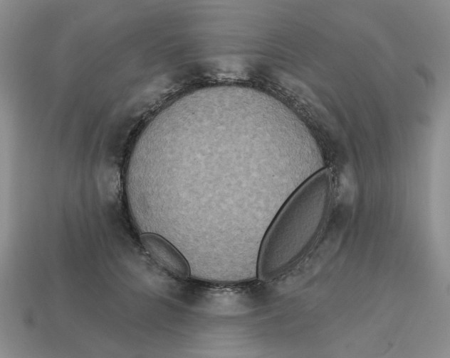 X0000113180704200910021543
