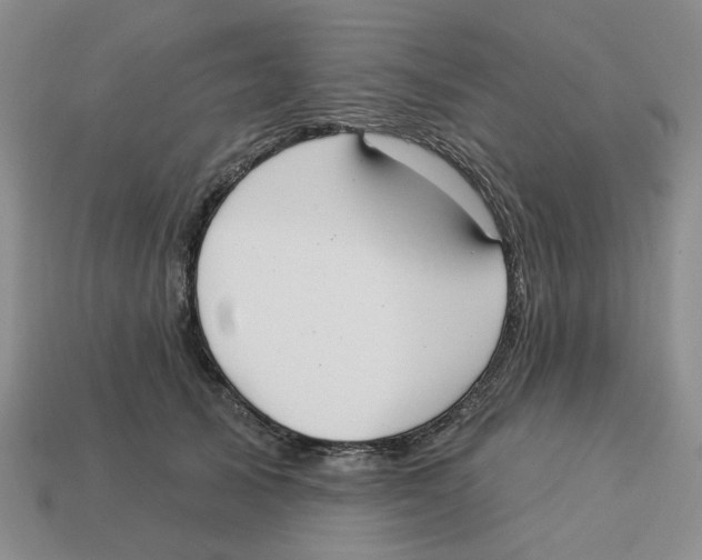 X0000113180705200910021543
