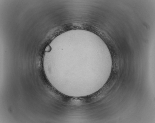 X0000113180706200910021543