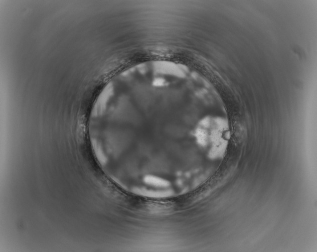 X0000113180707200910021543