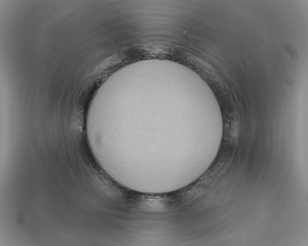 X0000113180710200910021543