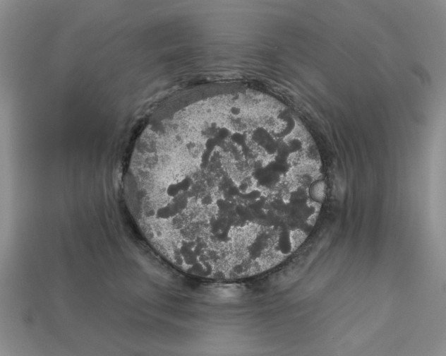 X0000113180711200910021543