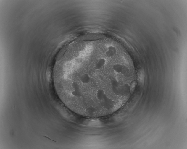 X0000113180715200910021543