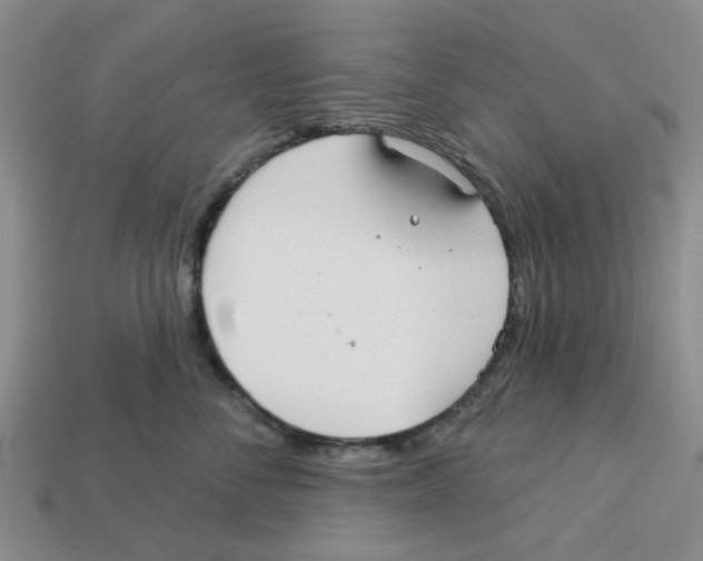X0000113180716200910021543