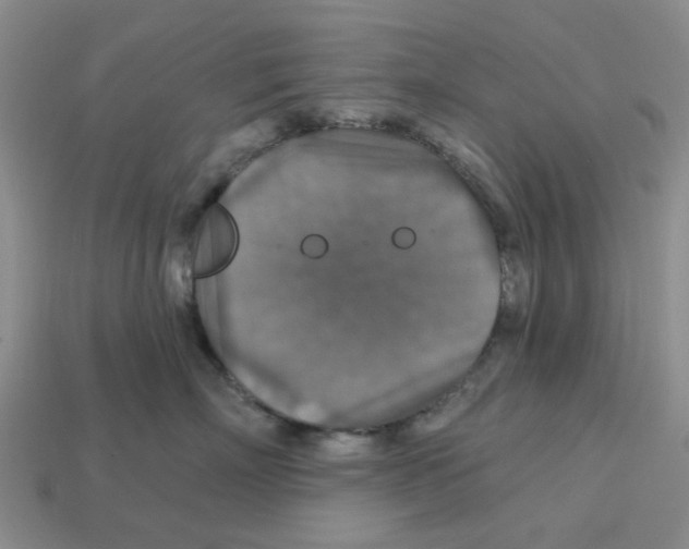 X0000113180718200910021543
