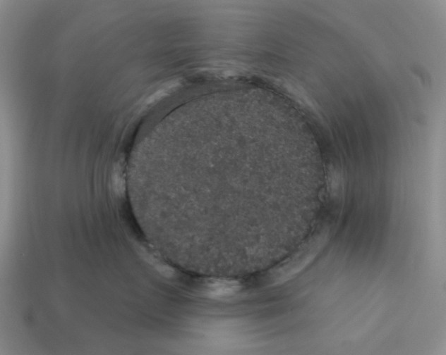 X0000113180719200910021543