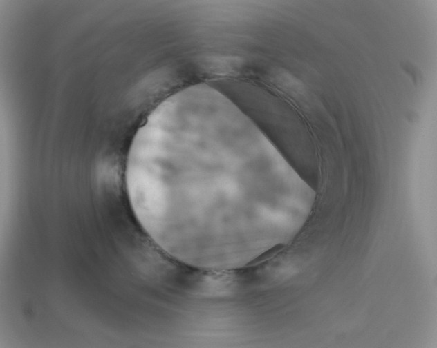 X0000113180720200910021543