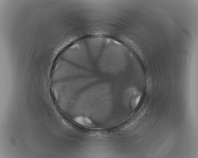 X0000113180721200910021542