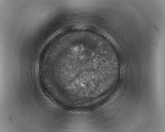 X0000113180722200910021542
