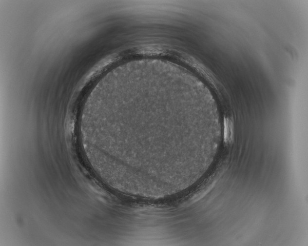X0000113180723200910021542