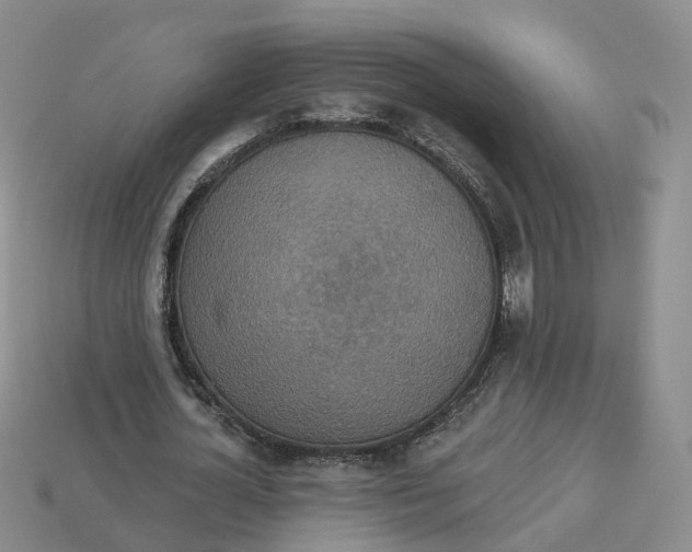 X0000113180724200910021542