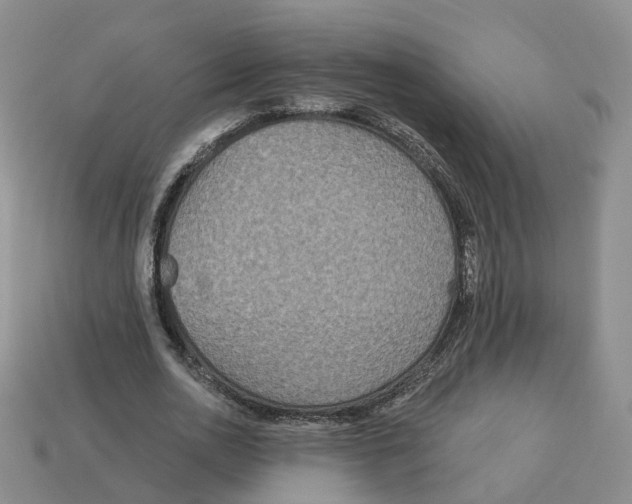 X0000113180726200910021542