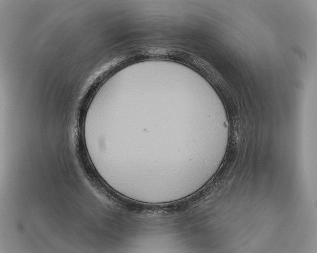 X0000113180728200910021542