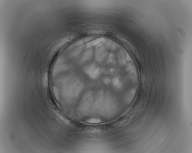 X0000113180729200910021542