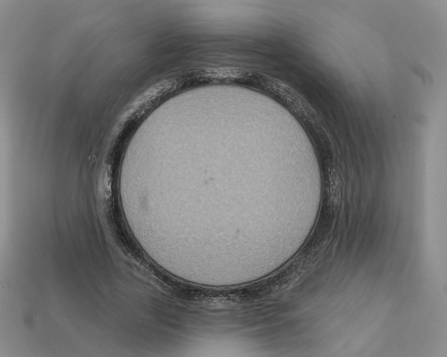 X0000113180731200910021542