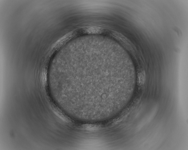 X0000113180733200910021542