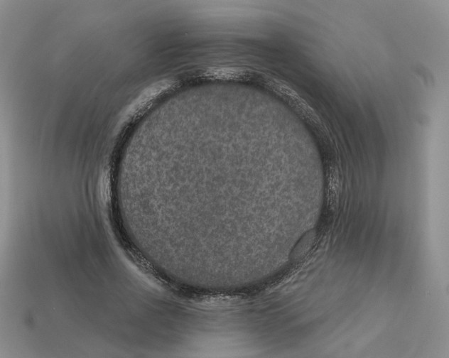 X0000113180734200910021542