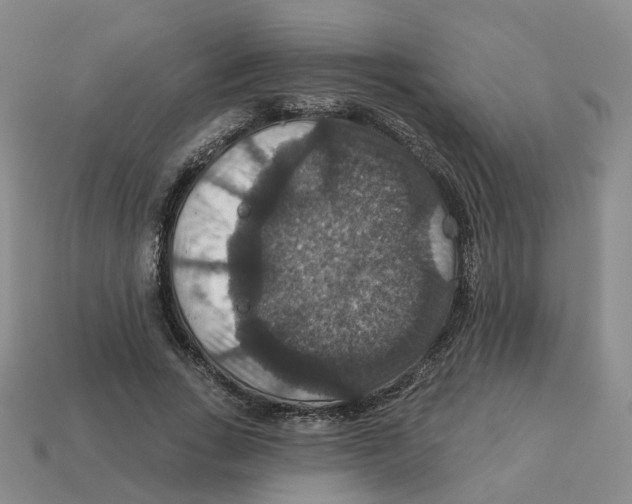 X0000113180735200910021542