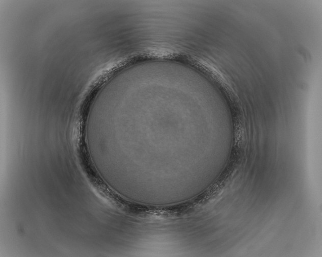 X0000113180736200910021542