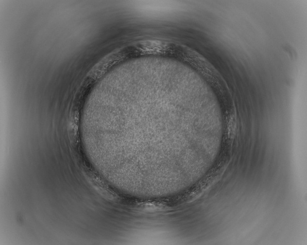 X0000113180737200910021542